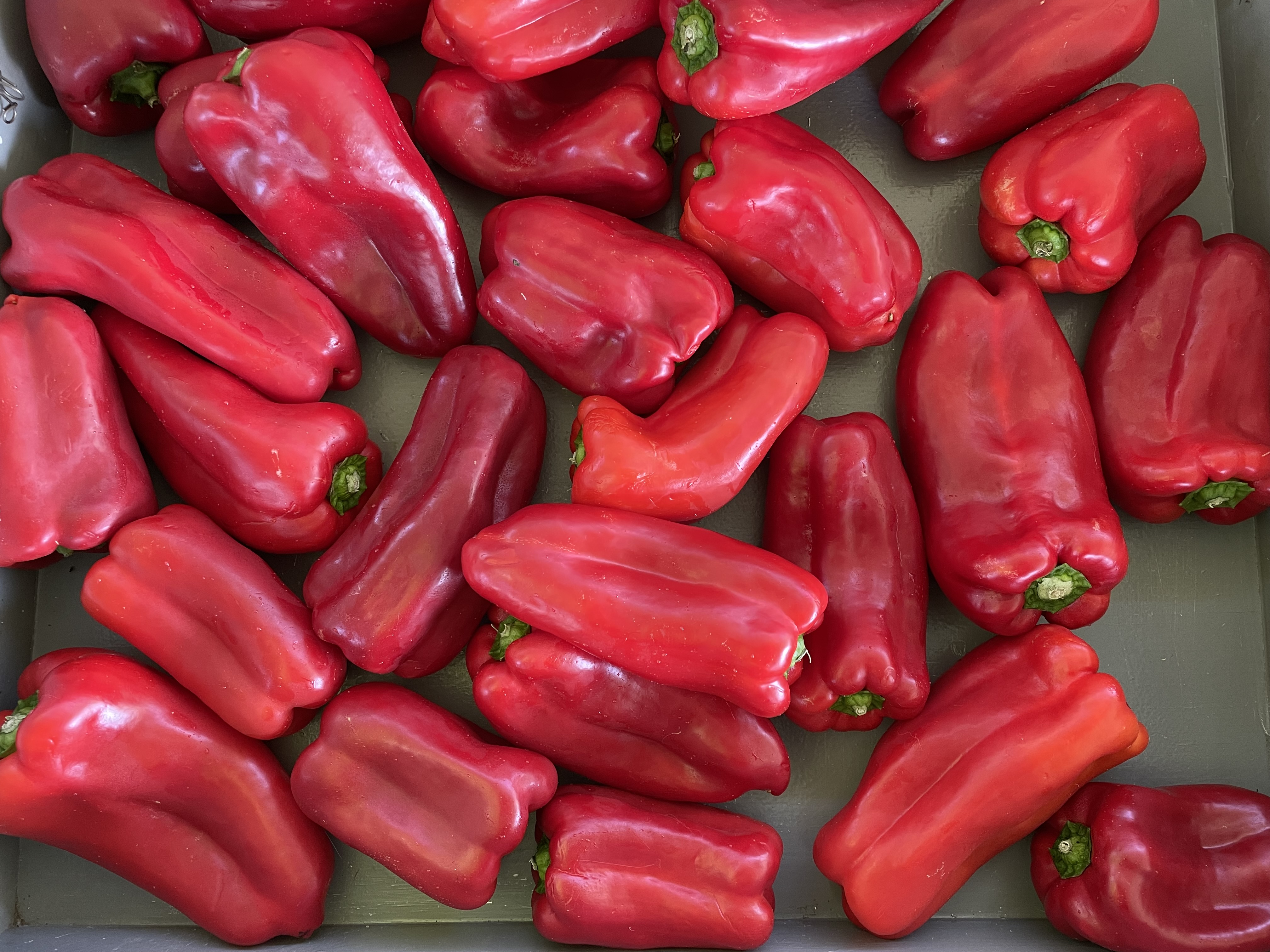 Red Bell Pepper Display